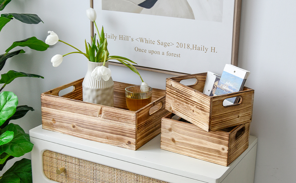 Art Crate with Handles
